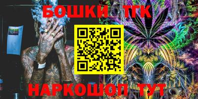 шишки Канаш