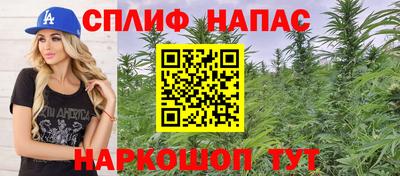 шишки Канаш