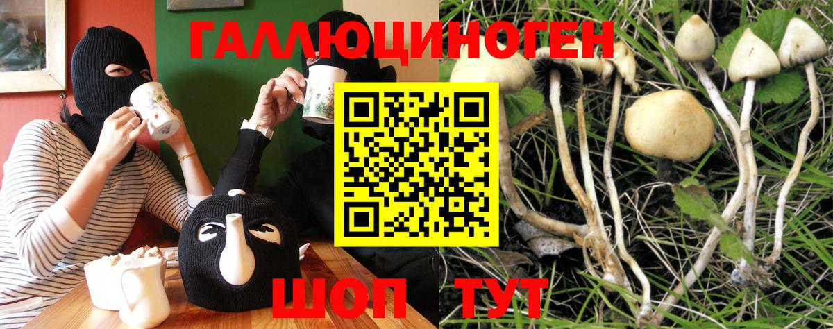 Псилоцибиновые грибы Psilocybe Шатура