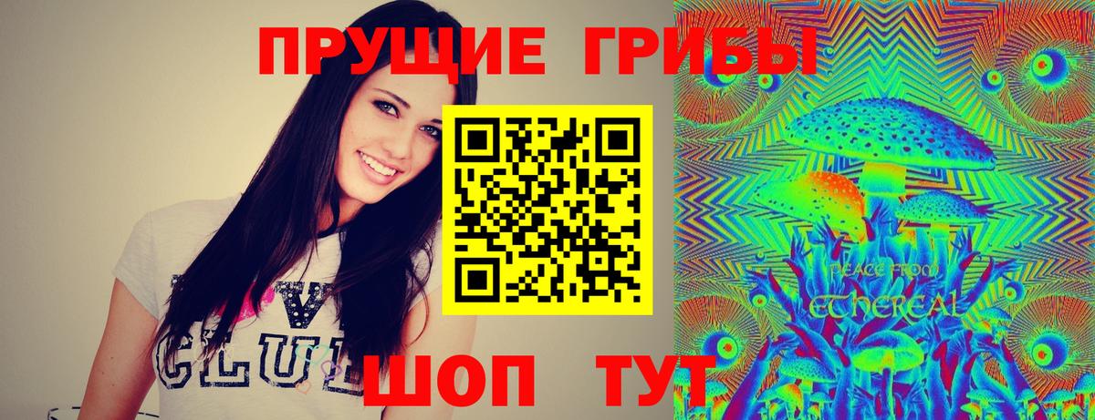 Галлюциногенные грибы Magic Shrooms  Псилоцибиновые грибы GOLDEN TEACHER  Вход с VPN  Шатура 