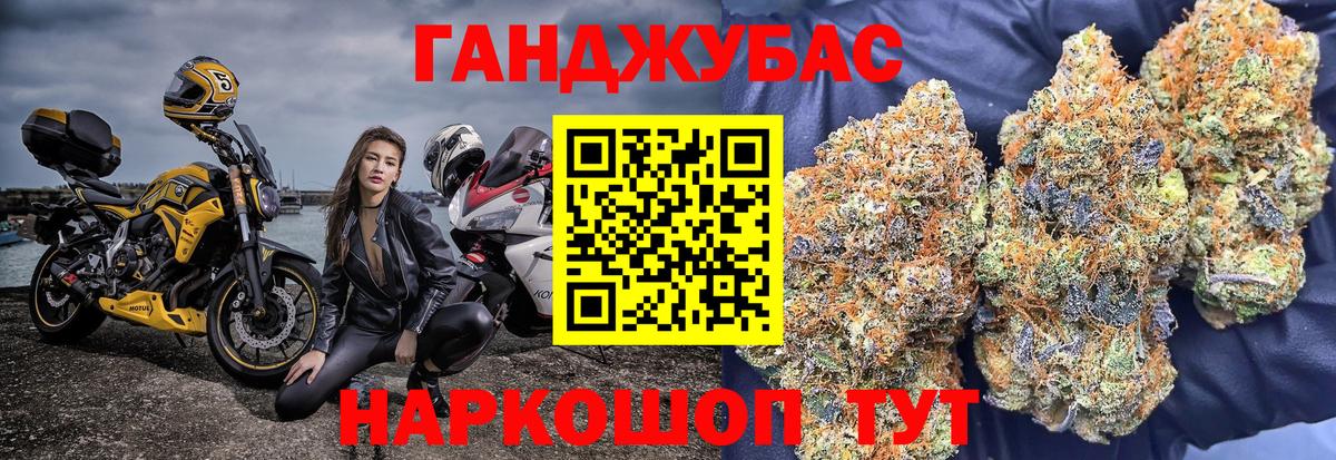Канабис сатива Шатура